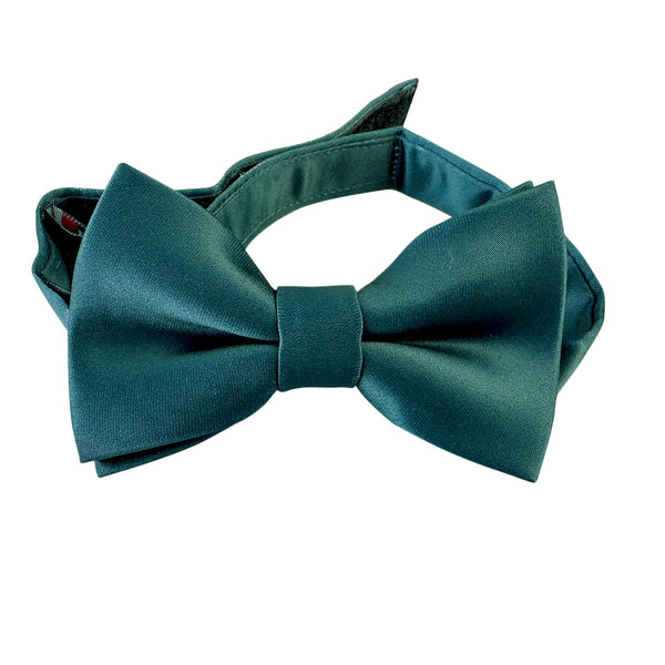 Peacock Satin Kids Bow Tie